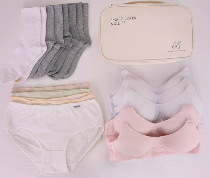 Reise-Organizer für Unterwäsche und BHs – Beige Aufbewahrungstasche für BHs, Slips und Socken auf Reisen – Tragbares Necessaire mit Griff und Fächern, Schutz vor Verformung der Cups